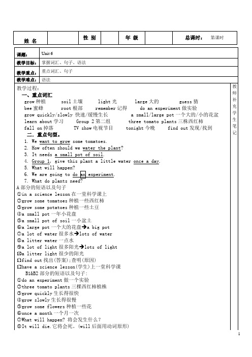 深港版第八册unit6教案oc