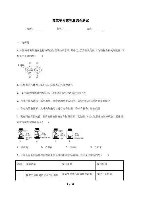 人教版生物七年级上册第三单元第五章绿色植物与生物圈的碳--氧平衡综合测试(含答案)