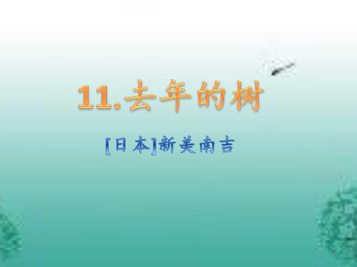 第十一课-去年的树PPT课件