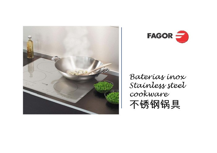 FAGOR 西班牙法格 不锈钢锅具 无烟锅具展示cookware 2008