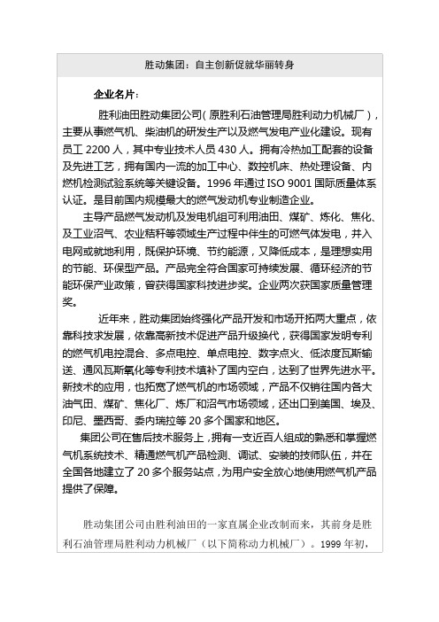 胜动集团：自主创新促就华丽转身