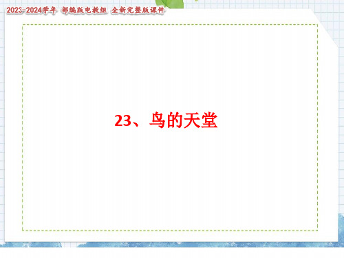鸟的天堂课件(共14张PPT)