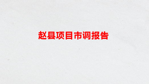 赵县市调2020年10月