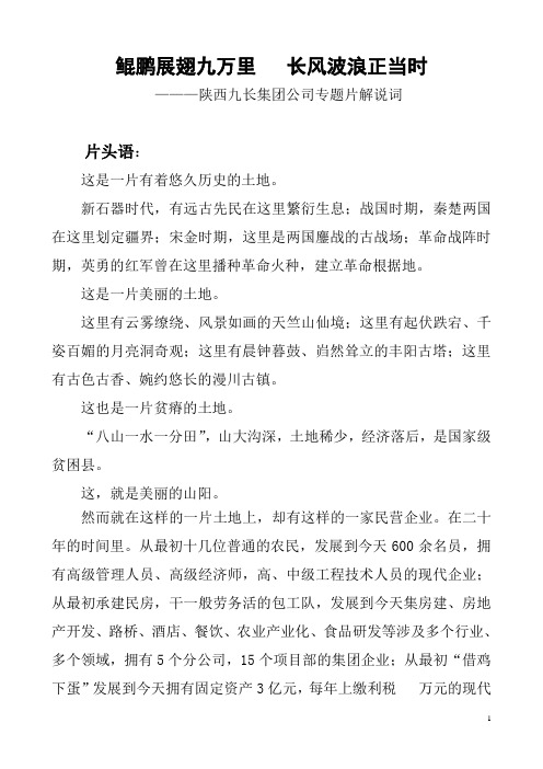 鲲鹏展翅九万里   长风波浪正当时(定稿)003