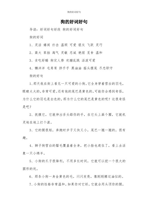 狗的好词好句