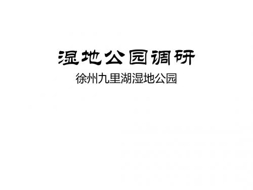 旅游规划案例