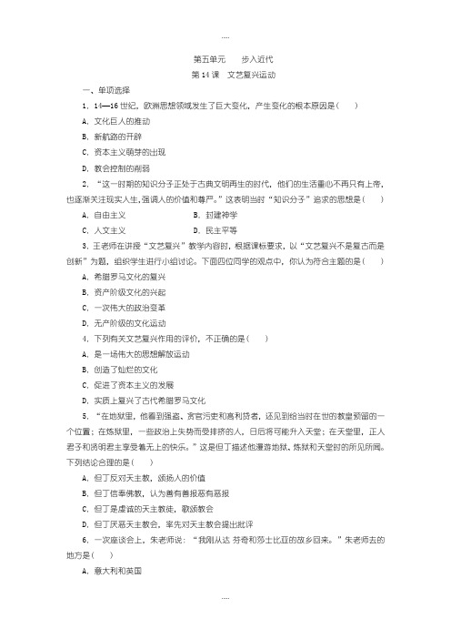 精选人教部编版历史九年级上册第14课《文艺复兴运动》练习题