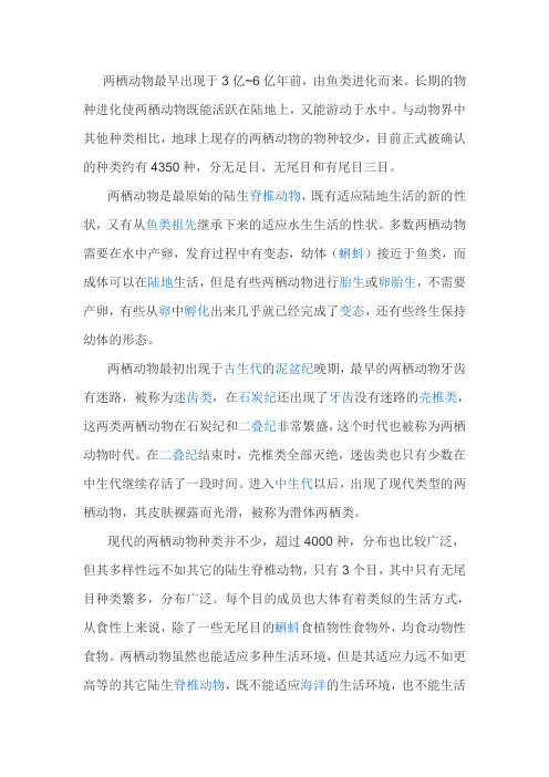 两栖动物