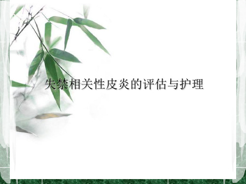 失禁相关性皮炎的评估与护理