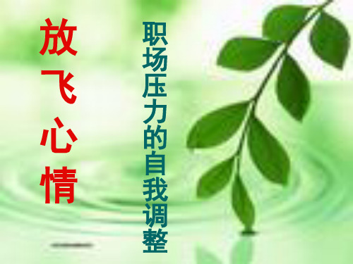 放飞心情 PPT课件