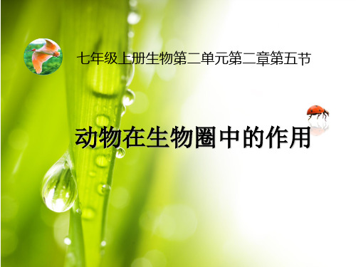 济南版七年级上册生物第二单元第二章第五节动物在生物圈中的作用