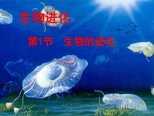 八年级(初二)生物 第1节生物的进化