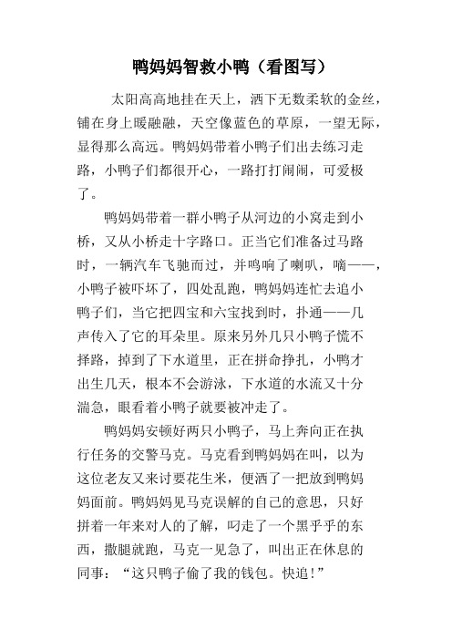 鸭妈妈智救小鸭(看图写)