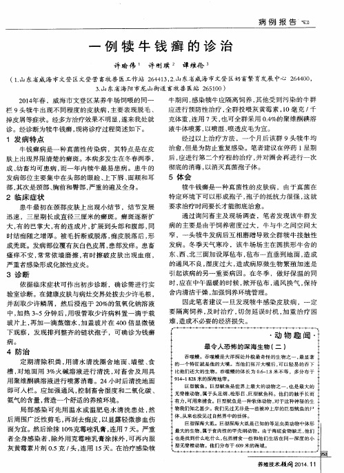 一例犊牛钱癣的诊治