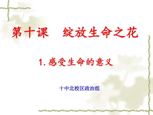 10.1生命的意义  课件(16张ppt)