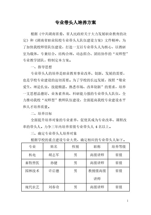 [vip专享]005-专业带头人培养方案