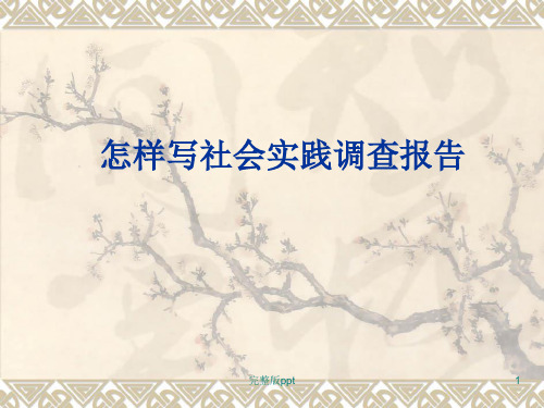 《社会实践调查》PPT课件