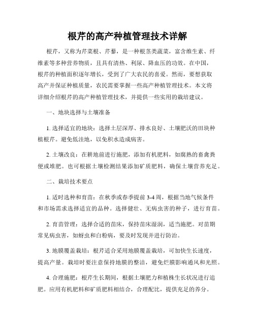 根芹的高产种植管理技术详解