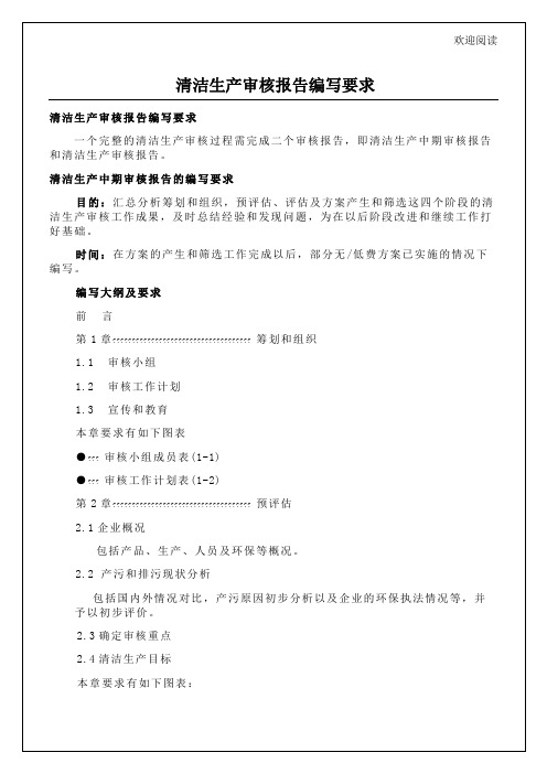 清洁生产审核报告编写要求6p
