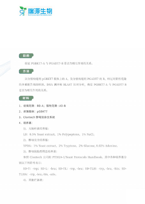 酵母双杂交一对一验证