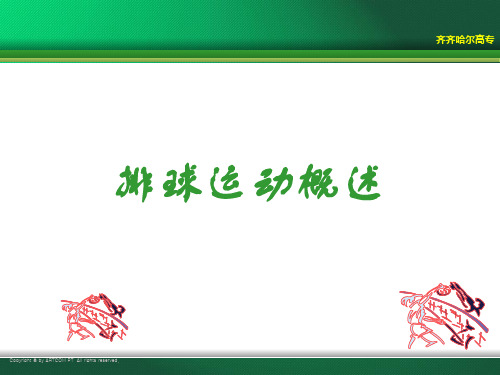 排球运动概述PPT..