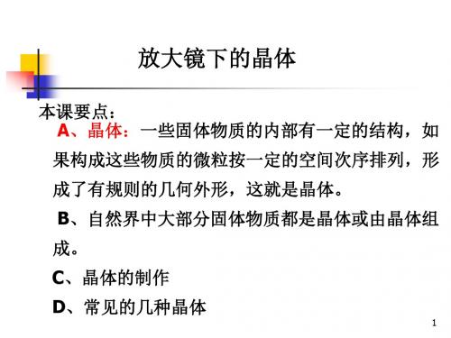 教科版小学科学六年级下册第一单元《放大镜下的晶体》课件