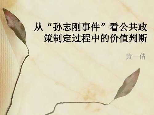 孙志刚事件