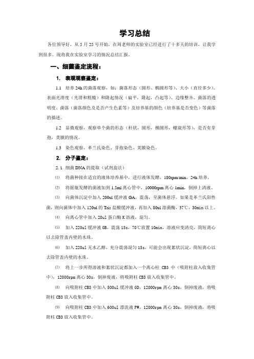 菌株鉴定流程总结