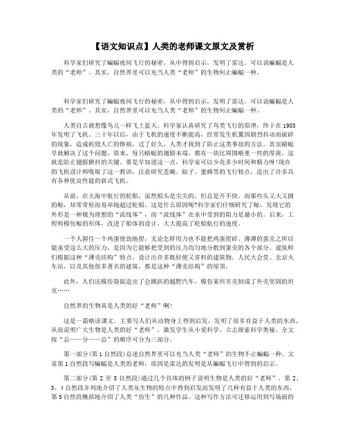 【语文知识点】人类的老师课文原文及赏析
