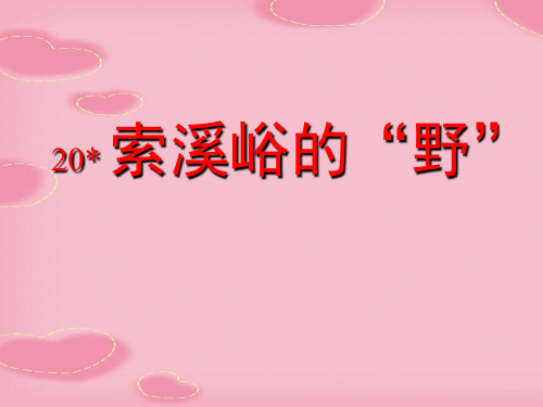 2021完整版《索溪峪的“野”》PPT课件下载6