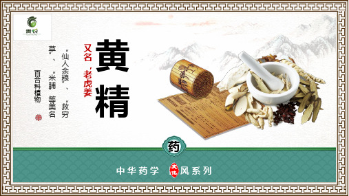 黄精种植课件