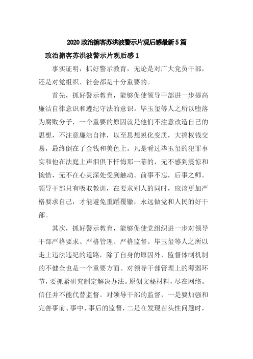 2020政治掮客苏洪波警示片观后感最新5篇