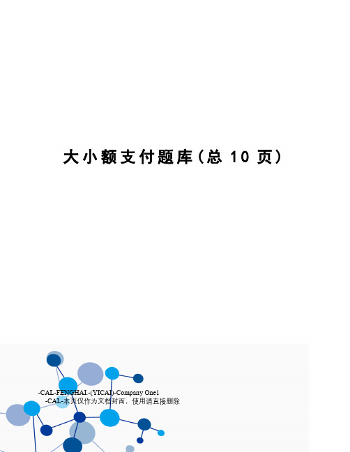 大小额支付题库