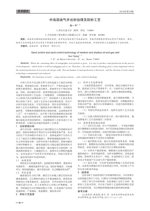 中浅层油气井出砂治理及防砂工艺