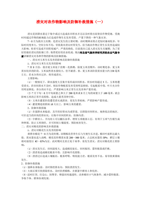 涝灾对农作物影响及防御补救措施
