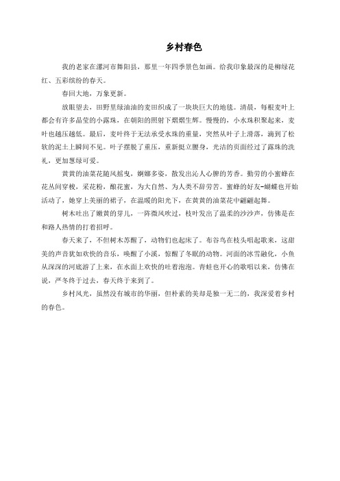 乡村春色_可可的文档
