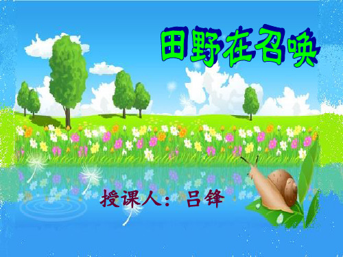 田野在召唤PPT课件
