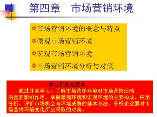 第四部分市场营销环境教学-PPT精品