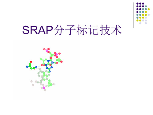 SRAP
