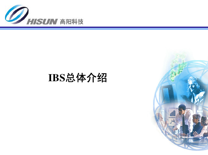 IBS整体特点及体系结构