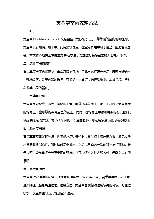 黄金草室内养殖方法