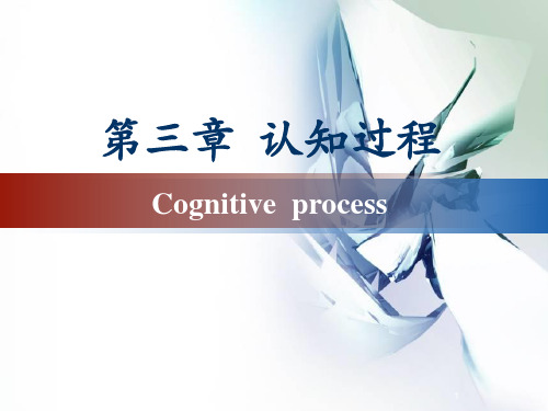 第三章 认知过程