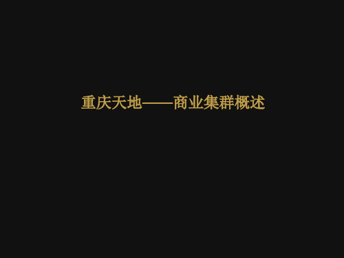 瑞安重庆天地项目 分析
