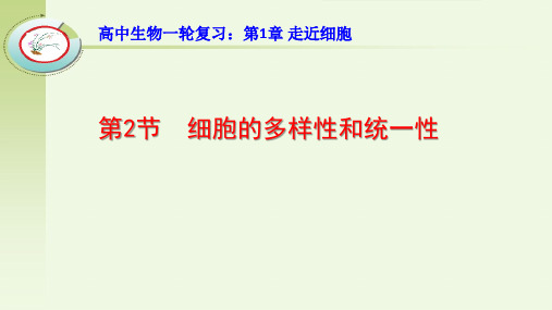 高中生物一轮复习：细胞的多样性和统一性
