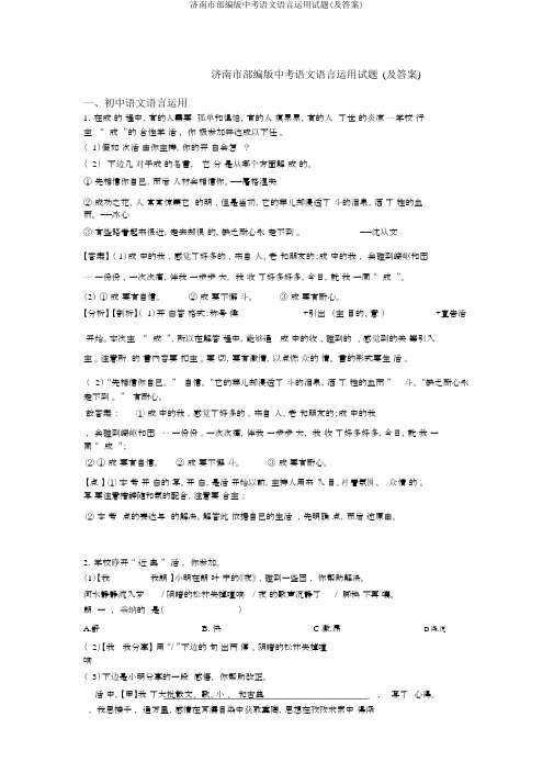 济南市部编版中考语文语言运用试题(及答案)