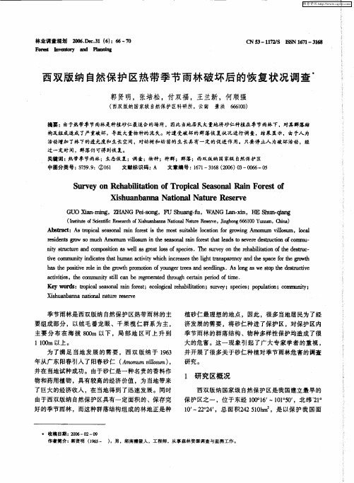 西双版纳自然保护区热带季节雨林破坏后的恢复状况调查