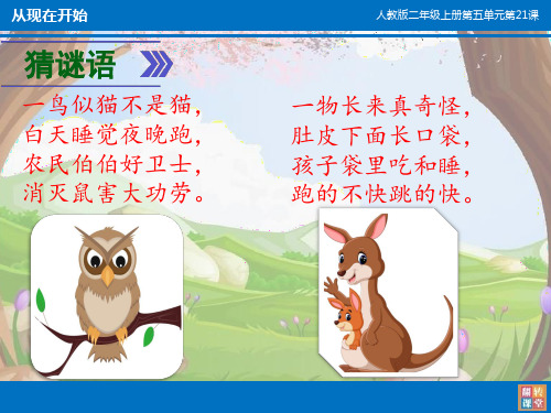 语文-人教版-二年级上从现在开始