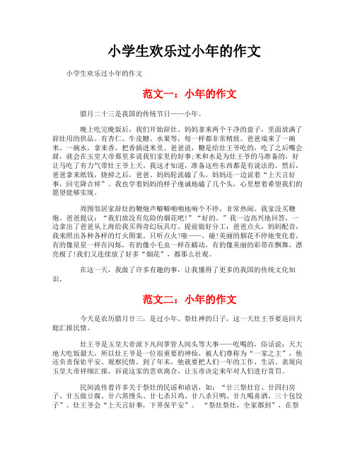 小学生欢乐过小年的作文