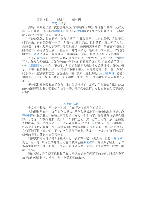 三年级上第四单元作文