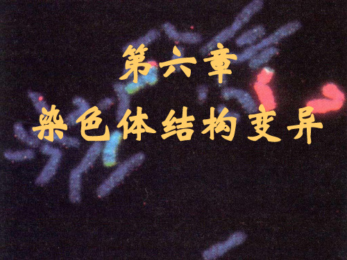 第六章染色体结构变异分析